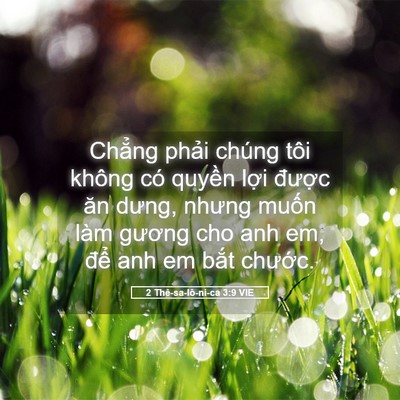 Picture 05 - 2 Thê-sa-lô-ni-ca 3:9 VIE - Chẳng phải chúng tôi không có quyền - Bible Verse Picture