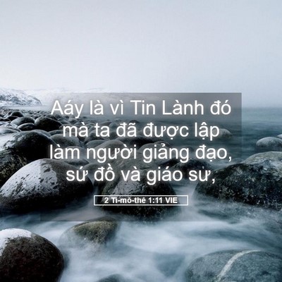Picture 05 - 2 Ti-mô-thê 1:11 VIE - Aáy là vì Tin Lành đó mà ta đã được - Bible Verse Picture