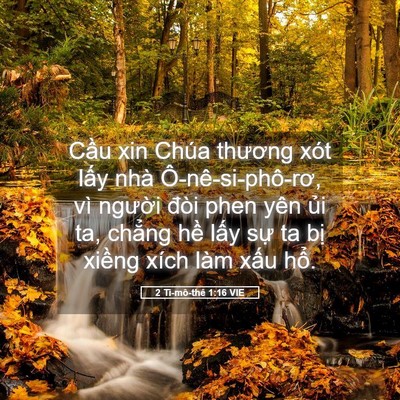 Picture 05 - 2 Ti-mô-thê 1:16 VIE - Cầu xin Chúa thương xót lấy nhà - Bible Verse Picture