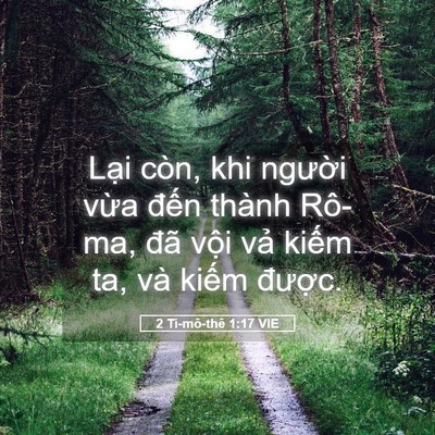 Picture 05 - 2 Ti-mô-thê 1:17 VIE - Lại còn, khi người vừa đến thành - Bible Verse Picture