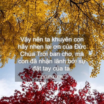 Picture 05 - 2 Ti-mô-thê 1:6 VIE - Vậy nên ta khuyên con hãy nhen lại ơn - Bible Verse Picture