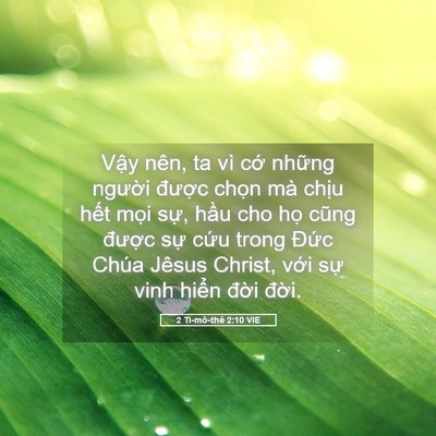 Picture 05 - 2 Ti-mô-thê 2:10 VIE - Vậy nên, ta vì cớ những người được - Bible Verse Picture