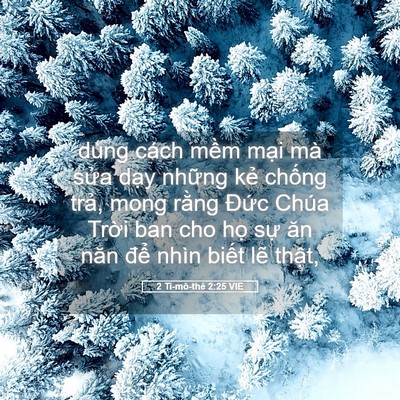 Picture 05 - 2 Ti-mô-thê 2:25 VIE - dùng cách mềm mại mà sửa dạy những - Bible Verse Picture