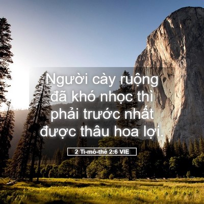 Picture 05 - 2 Ti-mô-thê 2:6 VIE - Người cày ruộng đã khó nhọc thì - Bible Verse Picture