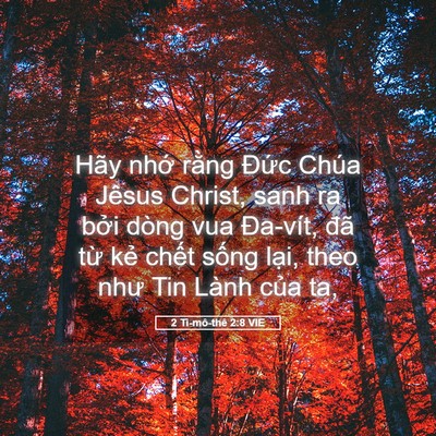 Picture 05 - 2 Ti-mô-thê 2:8 VIE - Hãy nhớ rằng Đức Chúa Jêsus Christ, - Bible Verse Picture