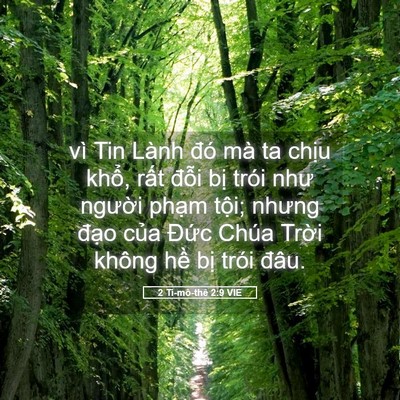 Picture 05 - 2 Ti-mô-thê 2:9 VIE - vì Tin Lành đó mà ta chịu khổ, rất - Bible Verse Picture