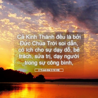 Picture 05 - 2 Ti-mô-thê 3:16 VIE - Cả Kinh Thánh đều là bởi Đức Chúa - Bible Verse Picture