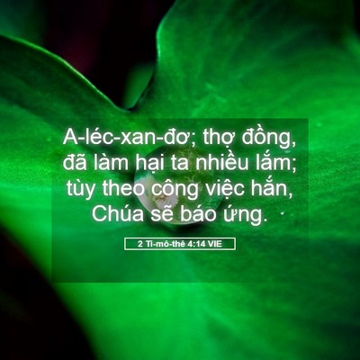 Picture 05 - 2 Ti-mô-thê 4:14 VIE - A-léc-xan-đơ; thợ đồng, đã làm hại - Bible Verse Picture