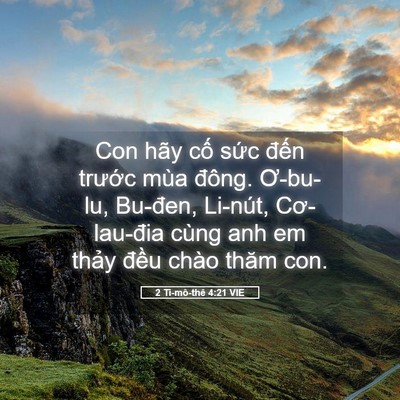 Picture 05 - 2 Ti-mô-thê 4:21 VIE - Con hãy cố sức đến trước mùa đông. - Bible Verse Picture