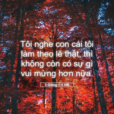 Picture 05 - 3 Giăng 1:4 VIE - Tôi nghe con cái tôi làm theo lẽ thật, - Bible Verse Picture