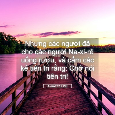 Picture 05 - A-mốt 2:12 VIE - Nhưng các ngươi đã cho các người - Bible Verse Picture