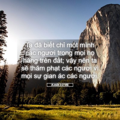 Picture 05 - A-mốt 3:2 VIE - Ta đã biết chỉ một mình các ngươi - Bible Verse Picture