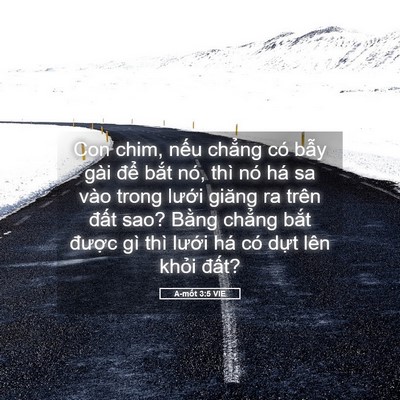 Picture 05 - A-mốt 3:5 VIE - Con chim, nếu chẳng có bẫy gài để - Bible Verse Picture