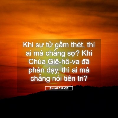 Picture 05 - A-mốt 3:8 VIE - Khi sư tử gầm thét, thì ai mà chẳng - Bible Verse Picture