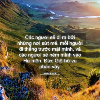 Picture 05 - A-mốt 4:3 VIE - Các ngươi sẽ đi ra bởi những nơi sứt - Bible Verse Picture
