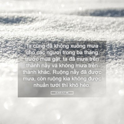 Picture 05 - A-mốt 4:7 VIE - Ta cũng đã không xuống mưa cho các - Bible Verse Picture