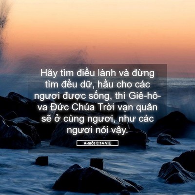 Picture 05 - A-mốt 5:14 VIE - Hãy tìm điều lành và đừng tìm đều - Bible Verse Picture