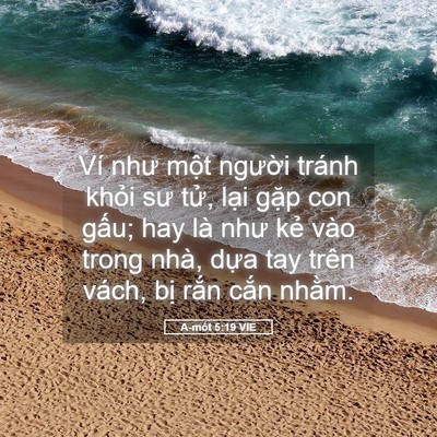 Picture 05 - A-mốt 5:19 VIE - Ví như một người tránh khỏi sư tử, - Bible Verse Picture