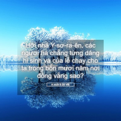 Picture 05 - A-mốt 5:25 VIE - Hỡi nhà Y-sơ-ra-ên, các ngươi há chẳng - Bible Verse Picture