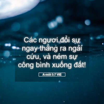 Picture 05 - A-mốt 5:7 VIE - Các ngươi đổi sự ngay thẳng ra ngải - Bible Verse Picture