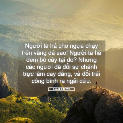 Picture 05 - A-mốt 6:12 VIE - Người ta há cho ngựa chạy trên vầng - Bible Verse Picture