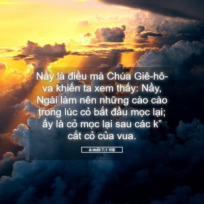 Picture 05 - A-mốt 7:1 VIE - Nầy là điều mà Chúa Giê-hô-va khiến - Bible Verse Picture