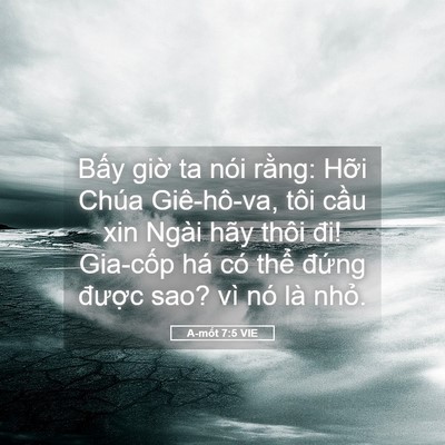 Picture 05 - A-mốt 7:5 VIE - Bấy giờ ta nói rằng: Hỡi Chúa - Bible Verse Picture