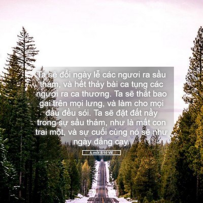 Picture 05 - A-mốt 8:10 VIE - Ta sẽ đổi ngày lễ các ngươi ra sầu - Bible Verse Picture