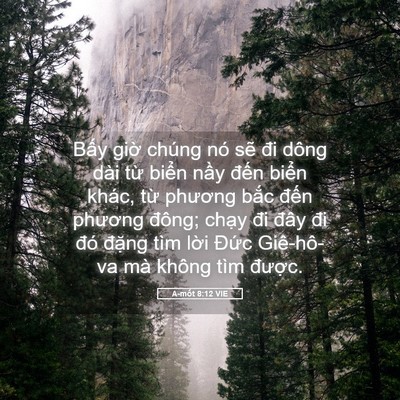 Picture 05 - A-mốt 8:12 VIE - Bấy giờ chúng nó sẽ đi dông dài từ - Bible Verse Picture