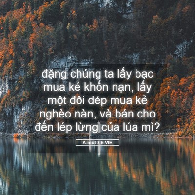 Picture 05 - A-mốt 8:6 VIE - đặng chúng ta lấy bạc mua kẻ khốn - Bible Verse Picture