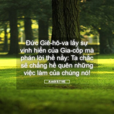 Picture 05 - A-mốt 8:7 VIE - Đức Giê-hô-va lấy sự vinh hiển của - Bible Verse Picture