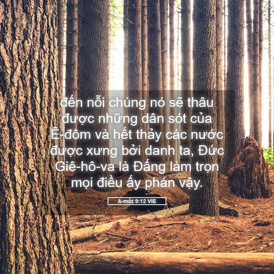 Picture 05 - A-mốt 9:12 VIE - đến nỗi chúng nó sẽ thâu được - Bible Verse Picture