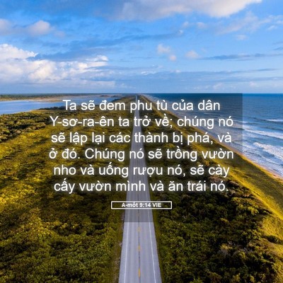 Picture 05 - A-mốt 9:14 VIE - Ta sẽ đem phu tù của dân Y-sơ-ra-ên ta - Bible Verse Picture