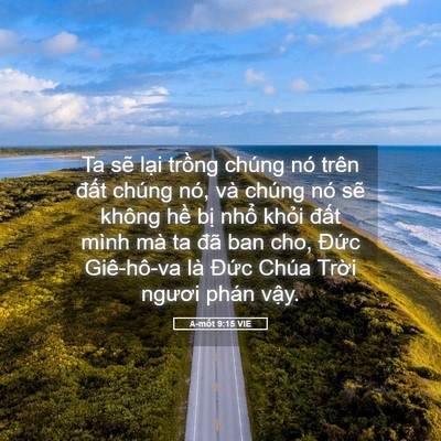 Picture 05 - A-mốt 9:15 VIE - Ta sẽ lại trồng chúng nó trên đất - Bible Verse Picture
