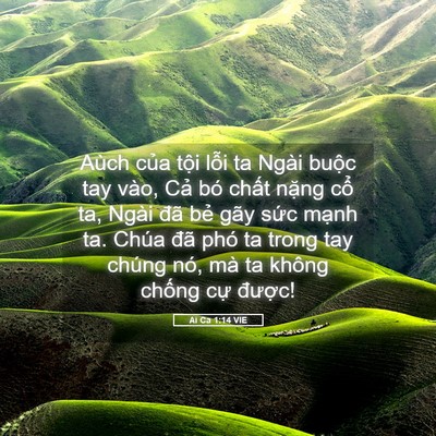 Picture 05 - Ai Ca 1:14 VIE - Aùch của tội lỗi ta Ngài buộc tay vào, - Bible Verse Picture