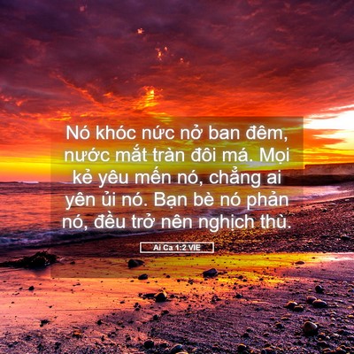 Picture 05 - Ai Ca 1:2 VIE - Nó khóc nức nở ban đêm, nước mắt - Bible Verse Picture