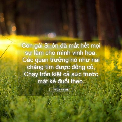 Picture 05 - Ai Ca 1:6 VIE - Con gái Si-ôn đã mất hết mọi sự làm - Bible Verse Picture