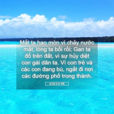 Picture 05 - Ai Ca 2:11 VIE - Mắt ta hao mòn vì chảy nước mắt, lòng - Bible Verse Picture