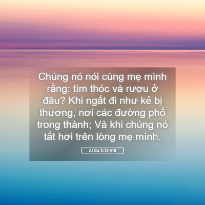 Picture 05 - Ai Ca 2:12 VIE - Chúng nó nói cùng mẹ mình rằng: tìm - Bible Verse Picture