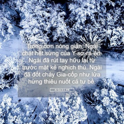 Picture 05 - Ai Ca 2:3 VIE - Trong cơn nóng giận, Ngài chặt hết - Bible Verse Picture
