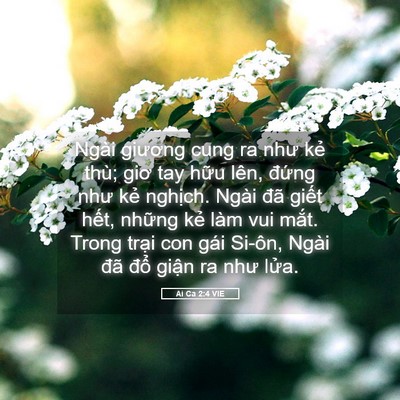 Picture 05 - Ai Ca 2:4 VIE - Ngài giương cung ra như kẻ thù; giơ tay - Bible Verse Picture