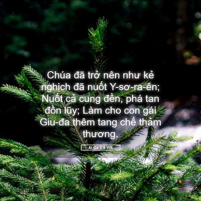 Picture 05 - Ai Ca 2:5 VIE - Chúa đã trở nên như kẻ nghịch đã - Bible Verse Picture
