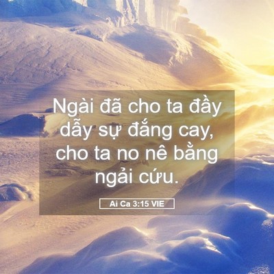 Picture 05 - Ai Ca 3:15 VIE - Ngài đã cho ta đầy dẫy sự đắng cay, - Bible Verse Picture