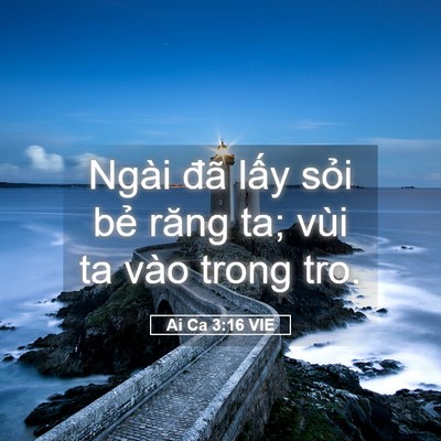 Picture 05 - Ai Ca 3:16 VIE - Ngài đã lấy sỏi bẻ răng ta; vùi ta - Bible Verse Picture
