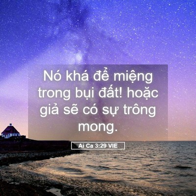 Picture 05 - Ai Ca 3:29 VIE - Nó khá để miệng trong bụi đất! hoặc - Bible Verse Picture
