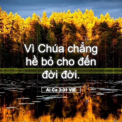Picture 05 - Ai Ca 3:31 VIE - Vì Chúa chẳng hề bỏ cho đến đời - Bible Verse Picture