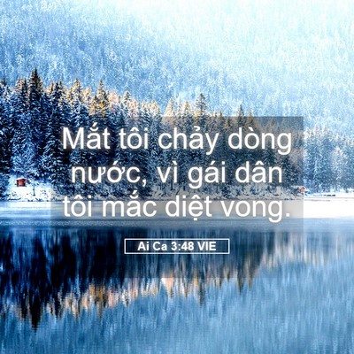 Picture 05 - Ai Ca 3:48 VIE - Mắt tôi chảy dòng nước, vì gái dân - Bible Verse Picture