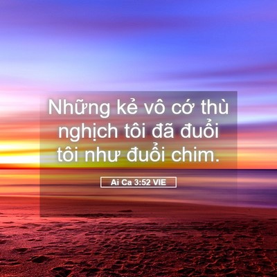 Picture 05 - Ai Ca 3:52 VIE - Những kẻ vô cớ thù nghịch tôi đã - Bible Verse Picture