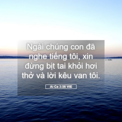 Picture 05 - Ai Ca 3:56 VIE - Ngài chúng con đã nghe tiếng tôi, xin - Bible Verse Picture