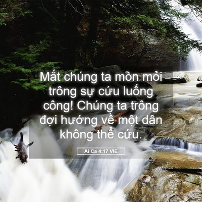Picture 05 - Ai Ca 4:17 VIE - Mắt chúng ta mòn mỏi trông sự cứu - Bible Verse Picture